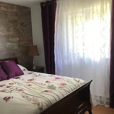 La Patrie Chalet Pres Du Mont Meganticヴィラ エクステリア 写真