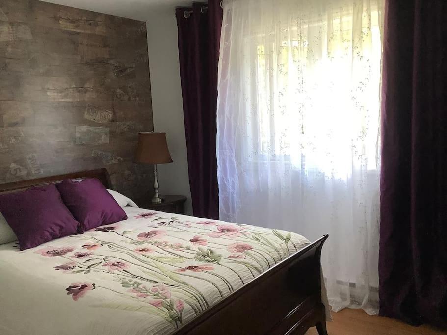 La Patrie Chalet Pres Du Mont Meganticヴィラ エクステリア 写真